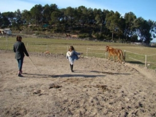 Decouverte de l equitation ethologique